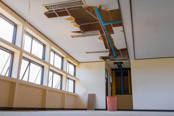 Trusted Arp, TX Water damage restoration Experts