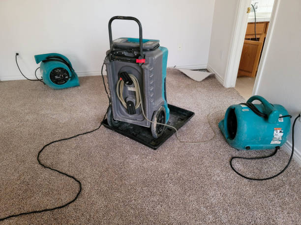 Water damage restoration process in Arp, TX