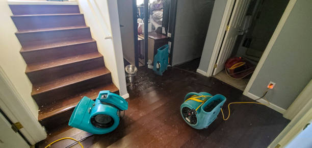 Best Commercial water damage restoration  in Arp, TX