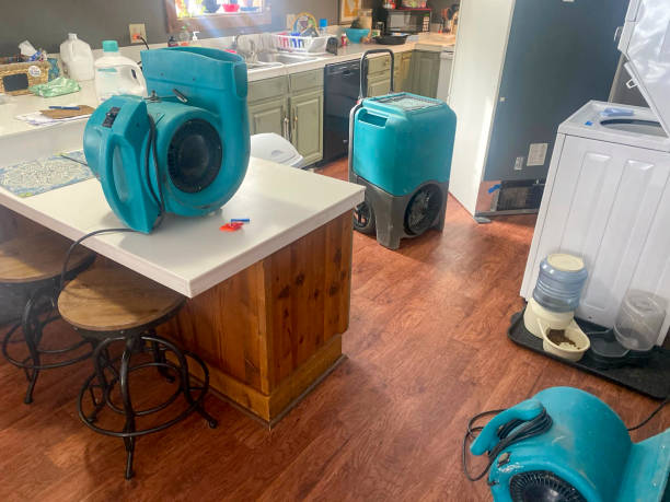 24/7 water damage repair in Arp, TX