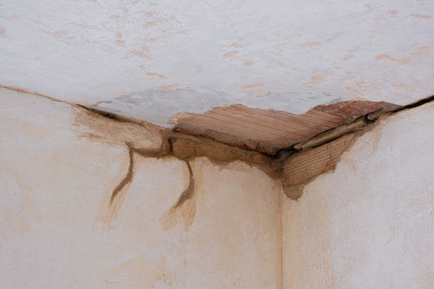 Best Emergency water damage restoration  in Arp, TX