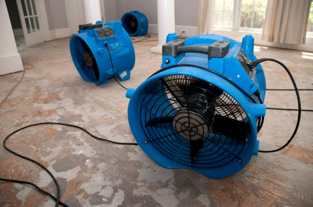  Arp, TX Water damage restoration Pros