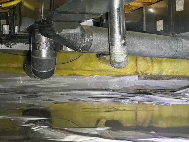 Best Flood restoration services  in Arp, TX