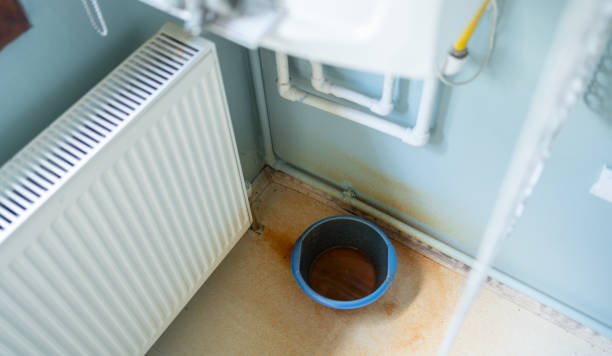 Best Carpet water damage restoration  in Arp, TX