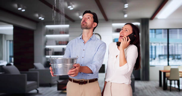 Best Water damage cleanup near me  in Arp, TX