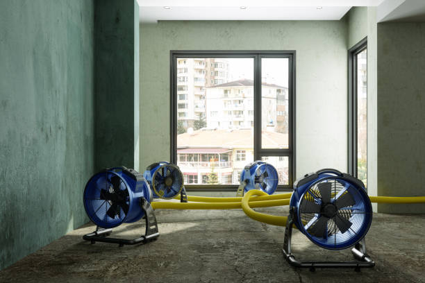 Best Residential water damage restoration  in Arp, TX