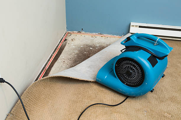 Professional Water damage restoration in Arp, TX